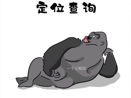 手机这样设置就可以查到对象去哪里了!#手机#共享位置#小技巧#情侣 #苹果 #涨知识