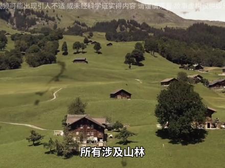 揭秘749局9大元老的神秘身份!内容纯属虚构,仅供娱乐!#749局 #749局九大元老 #奇闻异事 #创作者中心 #创作灵感