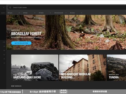 《C4D学习笔记》扩展课:Quixel bridge下载注册授权及使用教程!#c4d教学