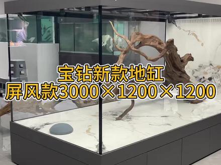 宝钻新款锦鲤 吉罗缸#鱼缸制作 #鱼缸过滤