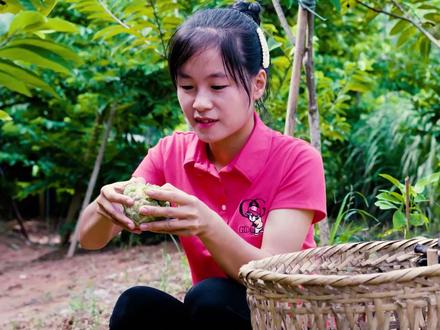 农女珊珊勤持家/果园坠满释迦果/剖开酪乳千重白/摘得一筐集市售 #番荔枝 #释迦果 #持家女人 #乡村生活