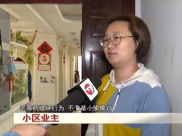 600多户地线被剪 谁干的?