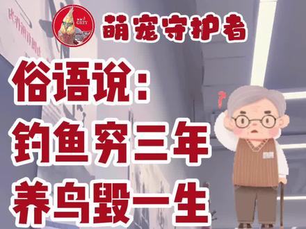 俗语说钓鱼穷三年,养鸟毁一生,你知道为什么吗?#手养鹦鹉 #鹦鹉🦜 #钓鱼 #玄凤鹦鹉