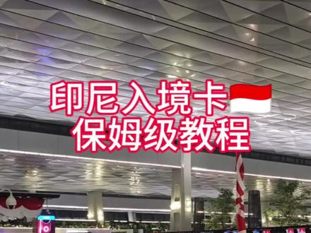 印尼🇮🇩入境卡填写,保姆级教程。 #印尼入境 #印尼入境卡 #印尼