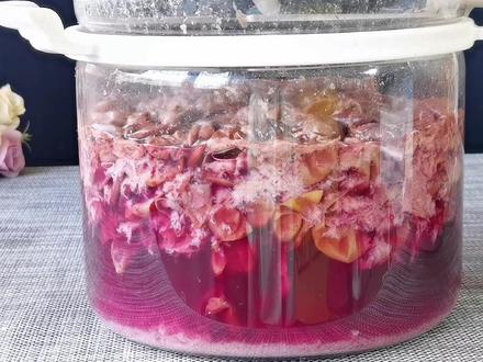 自酿葡萄酒超详细教程,10斤葡萄出9斤酒,口感醇香,放2年不坏 #自酿葡萄酒 #酿酒教程 #水果酒