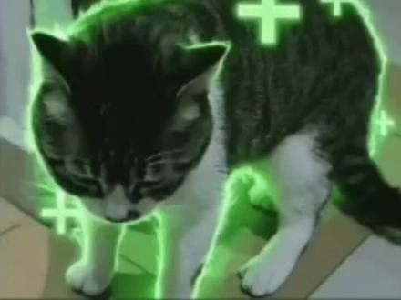 猫嚼口香糖回血纯享版60s
#表情包 #猫meme