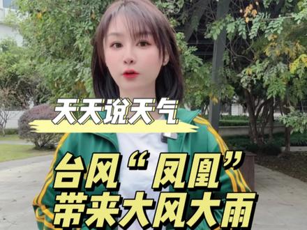 台风凤凰即将带来大风大雨!#台风凤凰 #冷空气 #降温