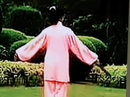 太极莲花扇背面演示,完整版