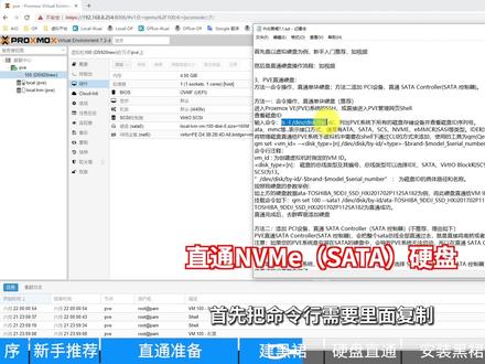 小白成长记5 PVE黑群晖7.1 NVMe SATA直通硬盘Synology黑群晖教程 #黑裙 #黑群晖