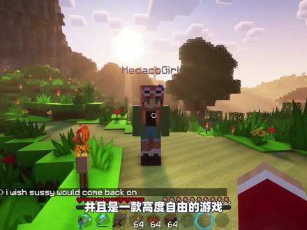 我的世界:巨型史蒂夫终于现身,玩家们合力战胜了他! #mc不灭 #我的世界都市传说 #我的世界 #生存