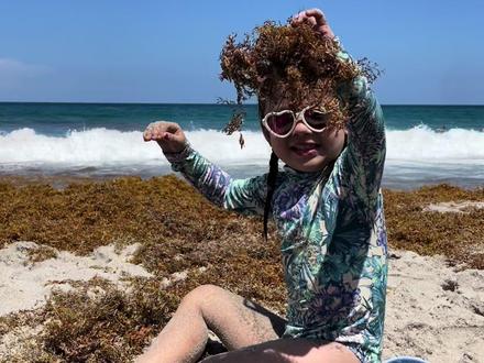 一分钟介绍一下佛罗里达和迈阿密🇺🇸#美国生活 #跨国婚姻 #海外生活 #美国生活 #中外家庭