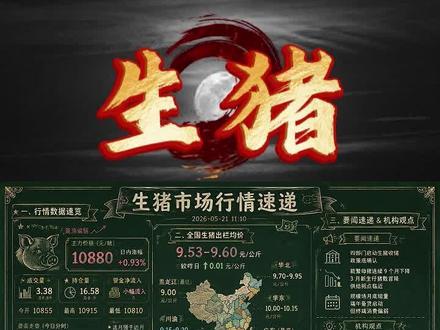 三组数据生猪反弹的成色 #生猪期货 #生猪 #生猪行情