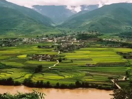 六年级上册语文《青山不老》