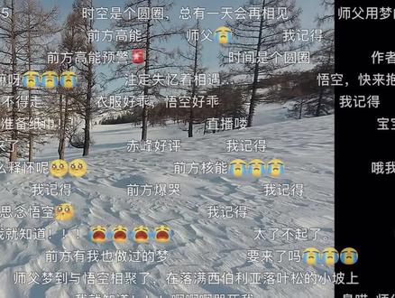 来自师父得亲自操刀😭
#赵朔西行漫记 #悟空