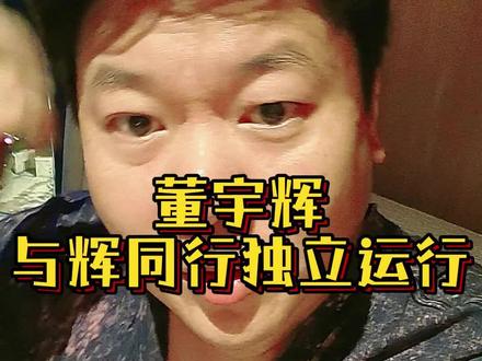 董宇辉与辉同行独立运行 #董宇辉 #与辉同行 #孩子教育