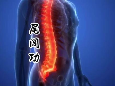内家拳“尾闾功”,以往为不传之秘