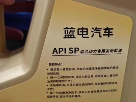 蓝电2025年度用车账单(保养,日常用车分享)·硬核省钱攻略#第三代蓝电E5PLUS #蓝电车主真实感受 #蓝电年度账单