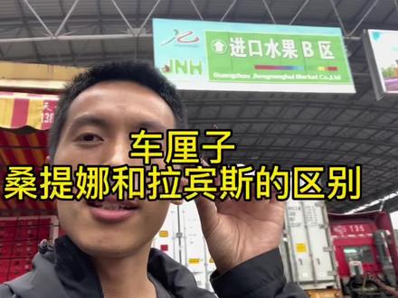 车厘子之后我们要上拉宾斯了,拉宾斯和桑提娜的区别#车厘子 #车厘子自由 #幸运时刻一口实现 #过年凡尔赛车厘子吃法