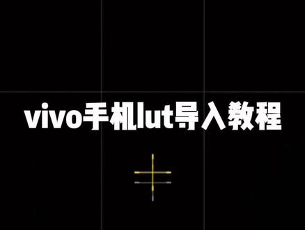 你们要的lut教程来了#lut教程#vivox系列@