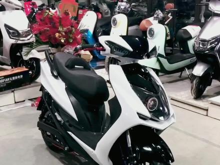 全新配置#劲战四代目,台州车架,整车拉梁加固,改装透镜大灯,沙发海绵坐垫,时速85码,110码,120码,各位老铁你们喜欢吗?