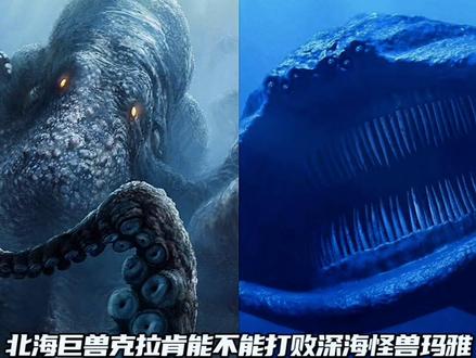 章鱼怪克拉肯VS巨鲲格兰玛雅#玛雅 #格兰玛雅 #章鱼怪 #克拉肯 #克拉肯海怪