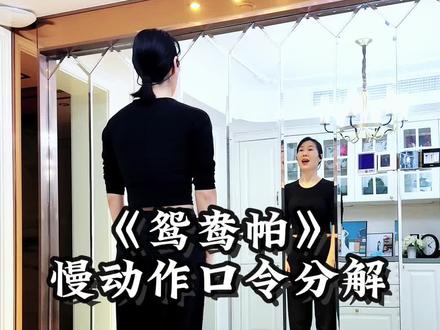 《鸳鸯帕》慢动作口令分解#一步一步教会你跳舞 #零基础学舞 #鸳鸯帕 #抖音热门舞蹈计划#学跳舞 @抖音创作小助手 @抖音小助手