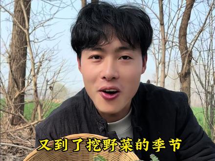 都让让 又到了俺河南人挖野菜的季节#野菜美食 #大自然的馈赠 #挖野菜#苦碟子 #河南春天的第一口鲜