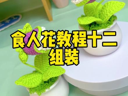 食人花组装教程#爱生活爱编织 #手工diy #钩针编织 #手工教程