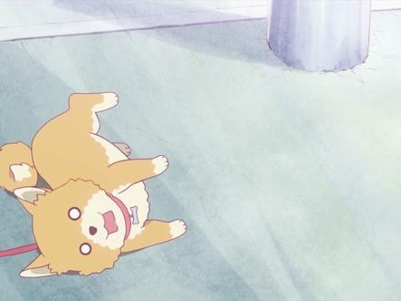 (AI系列)-同心圆图案效果练习分享