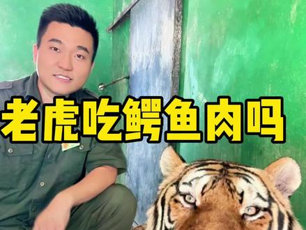 你们真是惯坏了啊!