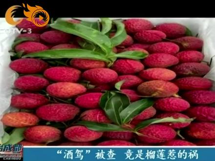 男子吃了榴莲被查出酒驾,当事人:“我没喝酒要求重检!” #交通 #假酒驾 #交通安全