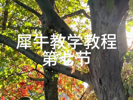犀牛3建模基础教程第七节——旋转
#建模 #平面设计 #建模#犀牛建模