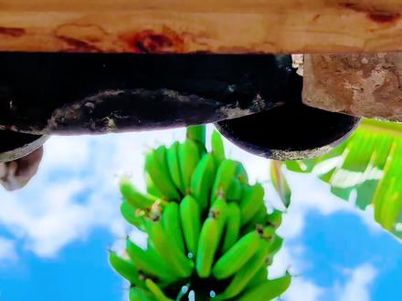 #你们要的Han Groove呦棒棒Empty Cart#GugakHipHop#呦棒棒 #旦#(Empty Cart)