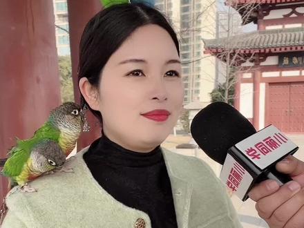 今年的冬至是公冬还是母冬?是睁眼冬还是闭眼冬?#冬至 #冬至节气 #街头采访 #小丽同学