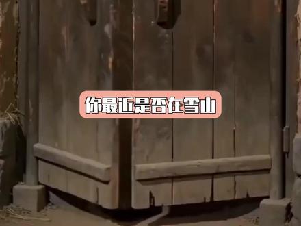 你最近是否在雪山救过一只狐狸 #酱板鸭 #狐狸 #雪山 #内容启发搜索