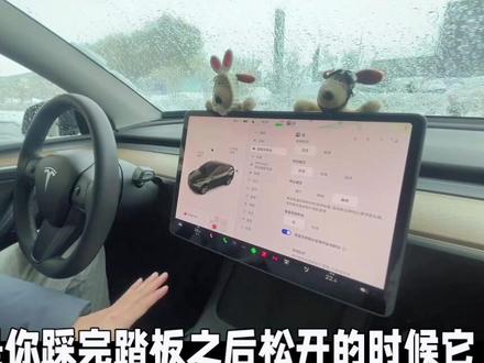 #特斯拉#特斯拉使用小技巧 #dou是好车 #新能源汽车 雨雪天气怎样使用特斯拉制动模式