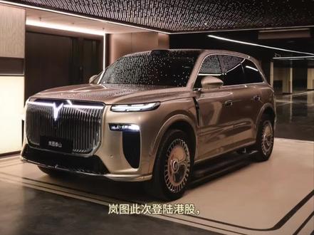 岚图汽车今日登陆港交所,上市即破发,后市如何看
#岚图汽车 #极氪 #理想汽车 #蔚来 #小米汽车