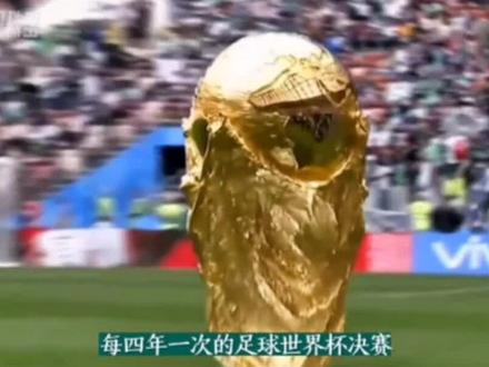 #卡塔尔世界杯 世界杯可是妥妥的纯金打造#珠宝首饰 #我和世界杯的20年 @DOU+小助手 @DOU+上热门