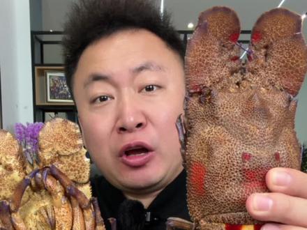 #美食测评 奇葩海鲜刺客篇