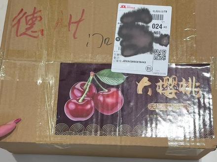 #樱桃熟了 #山东樱桃 #美早樱桃 对标昨天的米易大樱桃~入手了山东美早嘿嘿~越来越好吃~但是米易甜度更高是真的