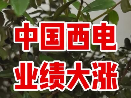 中国西电这事儿你看懂了吗?#电力 #电气