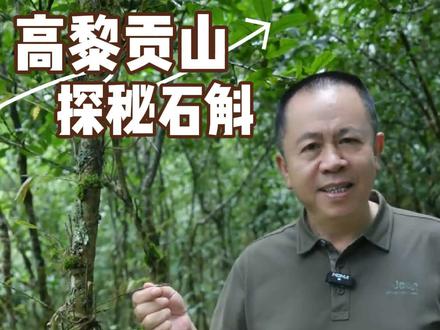 高黎贡山,探寻传承千年的仙草 #滋仙草石斛原浆