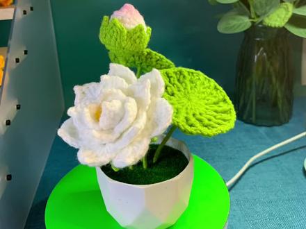 #爱生活爱编织 原创一体钩织小荷花盆栽教程(花片)#宝妈在家做手工 #可以订制哦 #亲手制作