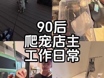 每天就是:手!别怕!没事!微毒☠️#爬宠 #异宠