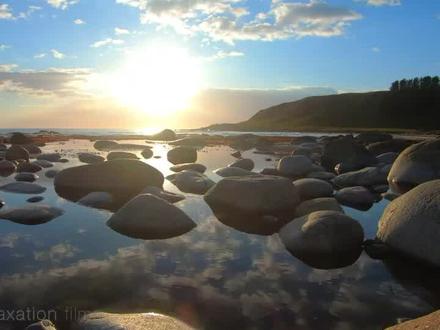 多吃青菜真的好吗,快来听听徐文兵老师是怎么讲的#徐文兵#国学文化