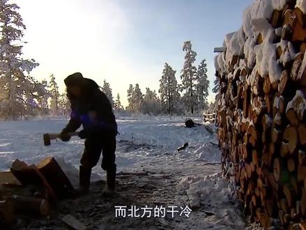 北方的冷vs南方的冷。#北方南方 #南北差异 #科普
