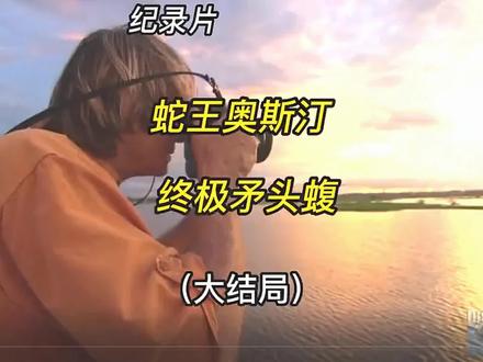 奥斯汀远赴亚马逊热带雨林寻找巨大的矛头腹蛇历经千辛万苦终于找到了并拍下一张纸魅力的照片大结局#野生动物零距离 #神奇动物在抖音 #动物世界精彩解说 #动物世界 #爱护大自然保护野生动物