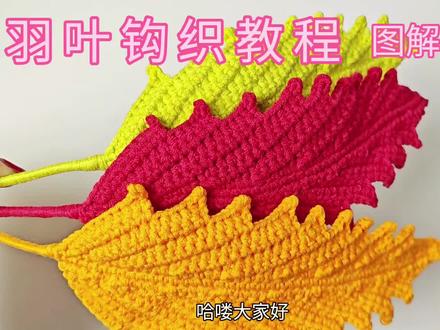 小羽叶钩织教程#钩针教程 #爱钩织 #钩织图解