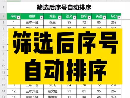 筛选后序号自动排序 #excel#excel技巧 #excel教学#wps #wps表格 #@DOU+小助手