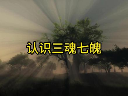 什么是三魂七魄 #热点 #奇闻异事 #灵异故事#睡前故事